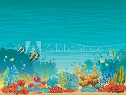 Afbeeldingen van Underwater seascape - coral reef and fish